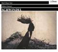 Schwindel, 2 Audio-CD