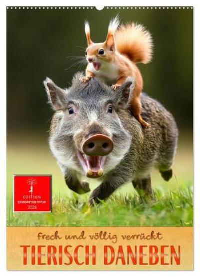 Tierisch daneben - frech und völlig verrückt (Wandkalender 2026 DIN A2 hoch), CALVENDO Monatskalender