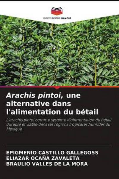 Arachis pintoi, une alternative dans l’alimentation du bétail