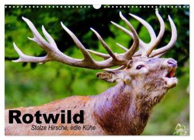Rotwild. Edle Hirsche, stolze Kühe (Wandkalender 2026 DIN A3 quer), CALVENDO Monatskalender