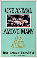 One Animal Among Many
