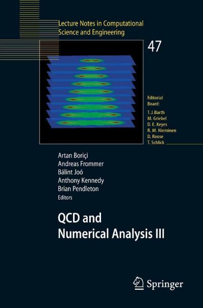 QCD and Numerical Analysis III