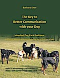 The Key to Better Communication with your Dog