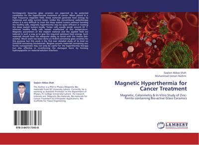 Magnetic Hyperthermia for Cancer Treatment