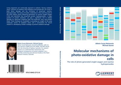 Molecular mechanisms of photo-oxidative damage in cells