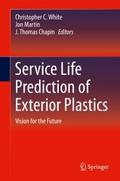 Service Life Prediction of Exterior Plastics