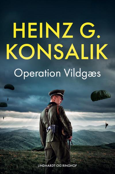 Operation Vildgæs