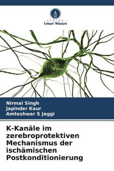 K-Kanäle im zerebroprotektiven Mechanismus der ischämischen Postkonditionierung