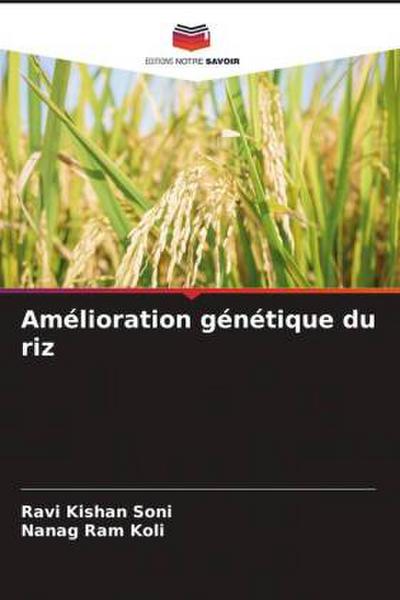 Amélioration génétique du riz
