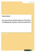 Der gesetzliche Mindestlohn im Überblick. Grundlegende Aspekte und Besonderheiten