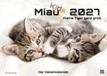 Miau Kids - kleine Tiger ganz groß - Der Katzenkalender 2027