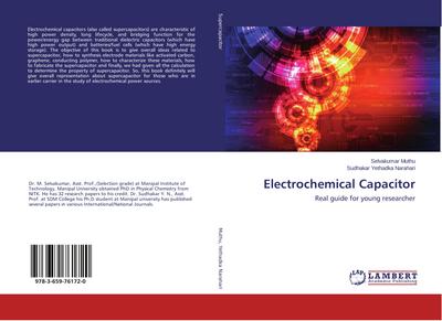 Electrochemical Capacitor