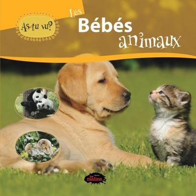 As-tu vu? les bebes animaux