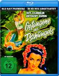 Gefangene des Dschungels