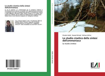 Lo studio cinetico della sintesi dell’ammoniaca