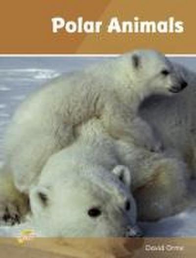 Polar Animals