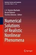 Numerical Solutions of Realistic Nonlinear Phenome