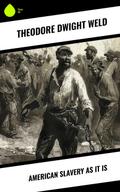 American Slavery as It is