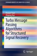 Turbo Message Passing Algorithms for Structured Si