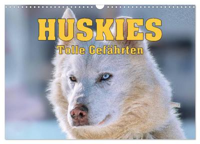 Huskies - Tolle Gefährten (Wandkalender 2026 DIN A3 quer), CALVENDO Monatskalender