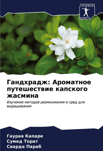 Gandhradzh: Aromatnoe puteshestwie kapskogo zhasmina