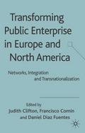Transforming Public Enterprise in Europe and North America
