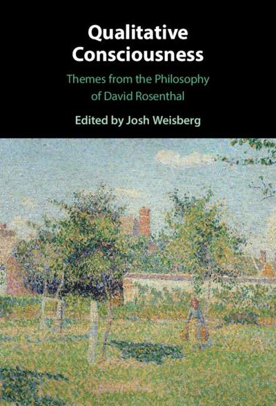 Qualitative Consciousness