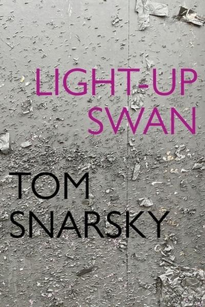 Light-Up Swan