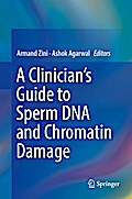 A Clinician’s Guide to Sperm DNA and Chromatin Damage