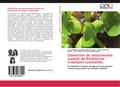 Obtención de adsorbentes a partir de Eichhornia crassipes (camalote)