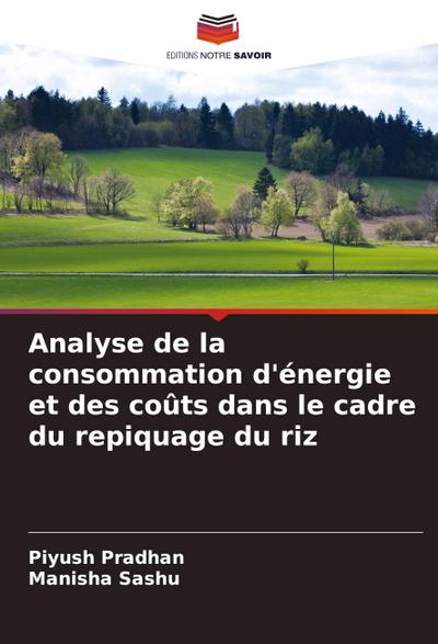 Analyse de la consommation d’énergie et des coûts dans le cadre du repiquage du riz