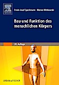 Bau und Funktion des menschlichen Körpers