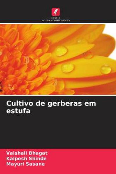 Cultivo de gerberas em estufa