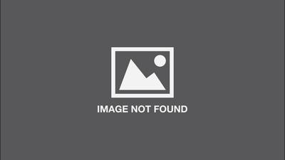 Illustoria: Cats & Dogs