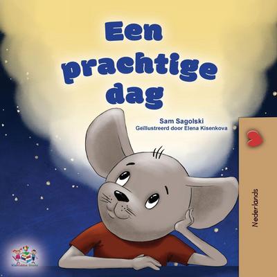 A Wonderful Day (Dutch Children’s Book)