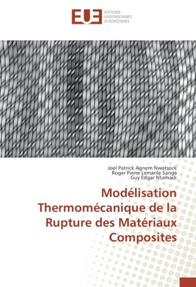 Modélisation Thermomécanique de la Rupture des Matériaux Composites