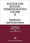 Kultur- und Kulturwissenschaften um 1900, Band II