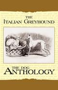 The Italian Greyhound