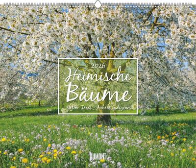 Heimische Bäume 2026 - Wandkalender 60x50 cm - Spiralbindung