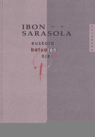 Euskara batuaren ajeak