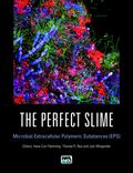 Perfect Slime