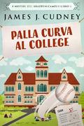 Palla Curva al College