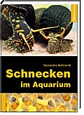 Schnecken im Aquarium