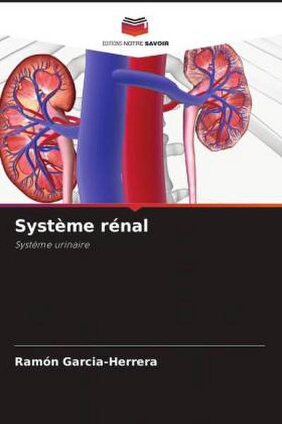 Système rénal