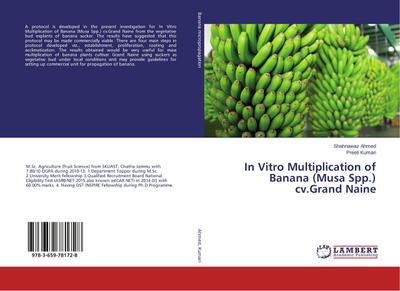 In Vitro Multiplication of Banana (Musa Spp.) cv.Grand Naine
