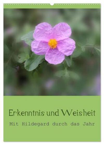 Erkenntnis und Weisheit - Hildegard von Bingen (Wandkalender 2026 DIN A2 hoch), CALVENDO Monatskalender