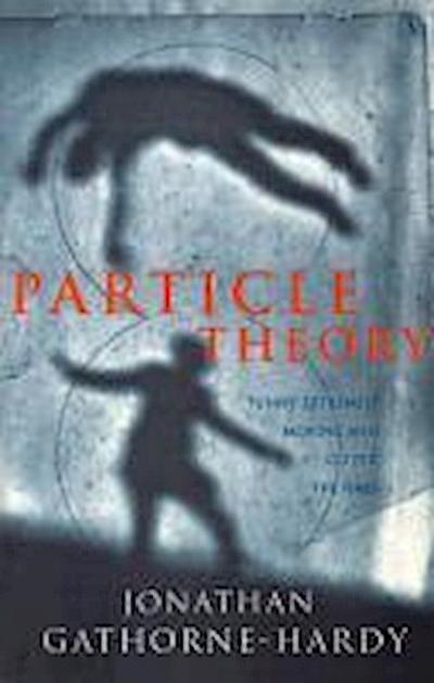 Particle Theory