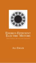 Energy-Efficient Electric Motors, Revised and Expanded
