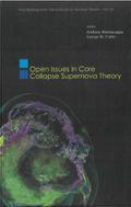 Open Issues In Core Collapse Supernova Theory