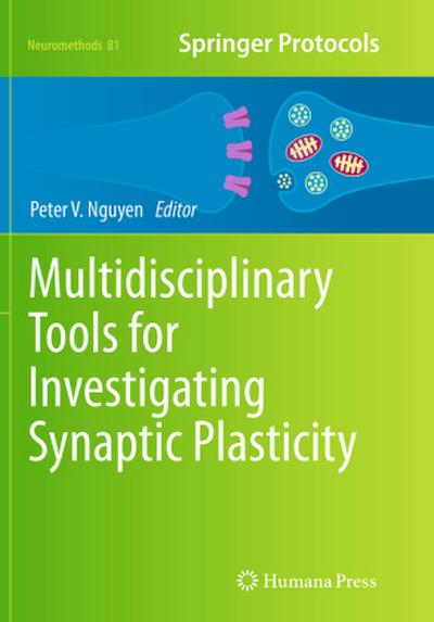 Multidisciplinary Tools for Investigating Synaptic Plasticity